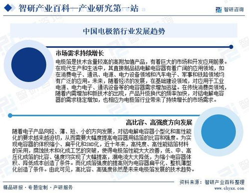 電極箔產業發展歷程、競爭格局與市場前景研究